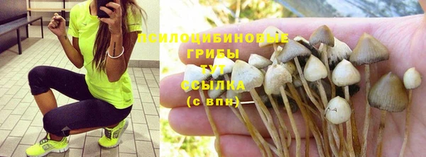 таблы Елабуга