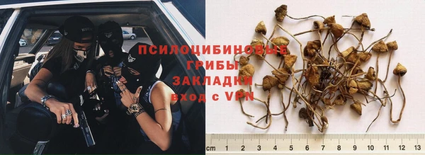 круглые Елизово