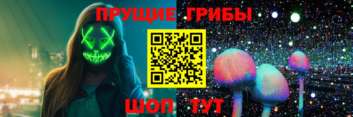 Галлюциногенные грибы прущие грибы  Галлюциногенные грибы мицелий  Касимов  Вход с VPN 