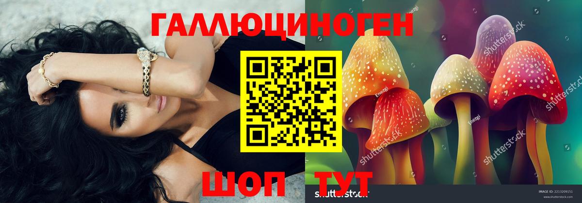 Галлюциногенные грибы Magic Shrooms Касимов